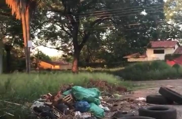 HOY / Lambaré no se escapa del dengue: patio baldío frente a colegio es un criadero de mosquitos