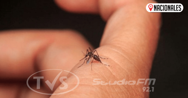 Dengue causa serias complicaciones en pacientes diabéticos