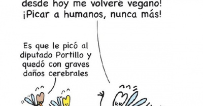 YOR – Mosquito vegano