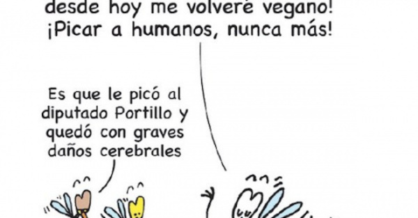 YOR – Mosquito vegano