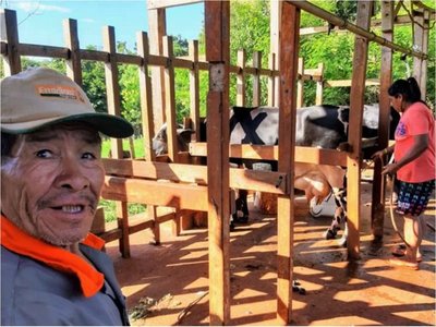 Comunidad aché crece 12% al año  y claman  más tierra para producción