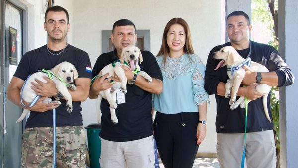 Próximos detectores antidrogas