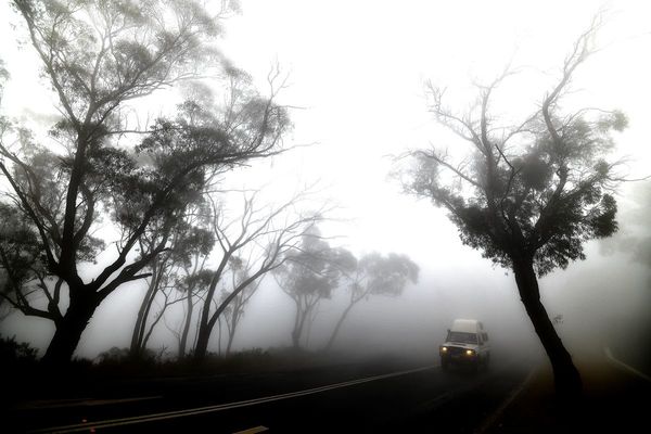 La lluvia da un respiro en los incendios en Australia