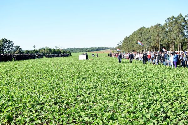 Caaguazú: productores denuncian invasión y exigen celeridad a Indert - Nacionales - ABC Color