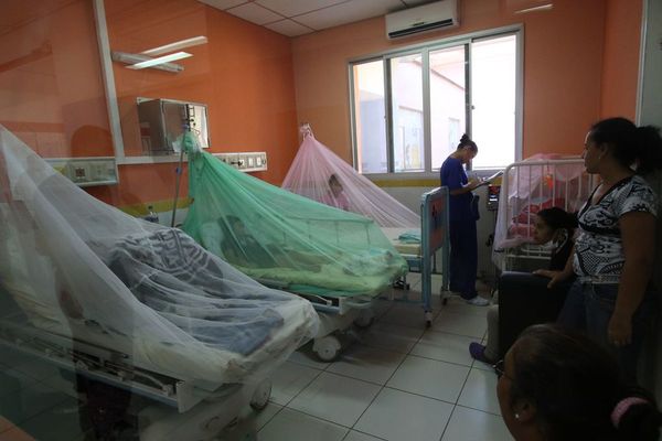 Caaguazú, Caazapá y Misiones, sin casos de dengue