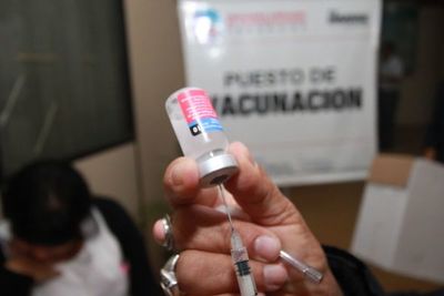 Advierten que la vacuna contra el dengue tiene riesgos y condiciones