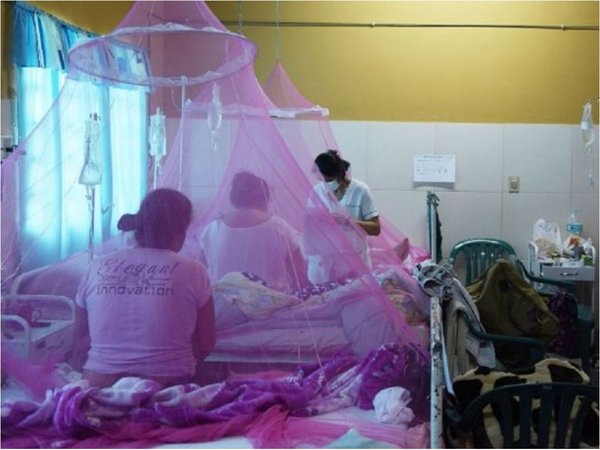 Cada paciente con dengue le cuesta al Estado unos 200 dólares por día