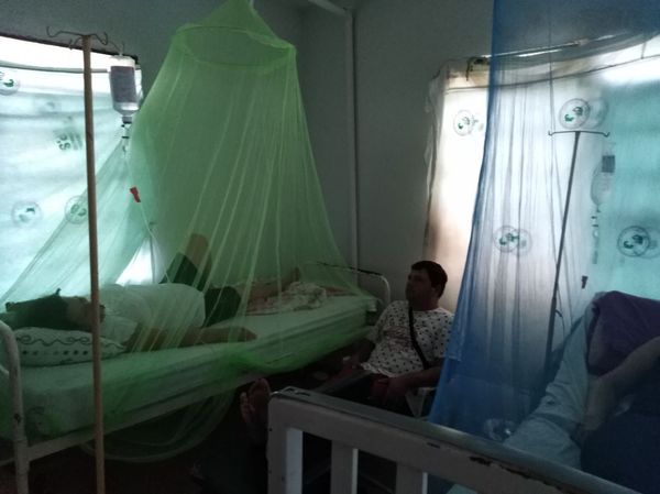 Solo tres departamentos no reportan casos de dengue - ADN Paraguayo