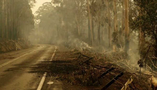 Lluvia da respiro en los incendios en Australia - ADN Paraguayo