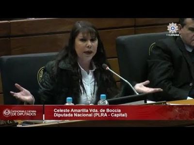 Diputada Celeste Amarilla rechazó la distritación de Chiriguelo