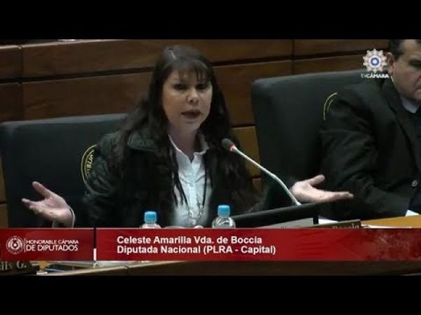 Diputada Celeste Amarilla rechazó la distritación de Chiriguelo