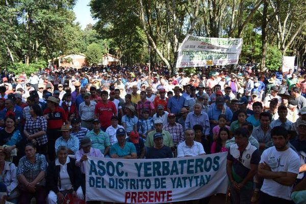 Yerbateros itapuenses acogotados por el contrabando