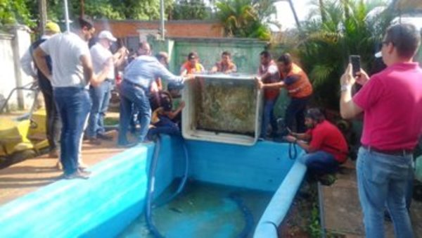 Ministro Roa convencido que ciudadanía tomará conciencia en eliminar criaderos - .::RADIO NACIONAL::.