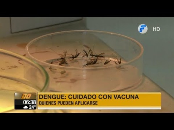 Salud advierte sobre las vacunas contra el dengue