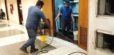 Trabajan para eliminar insectos en el Congreso - Nacionales - ABC Color
