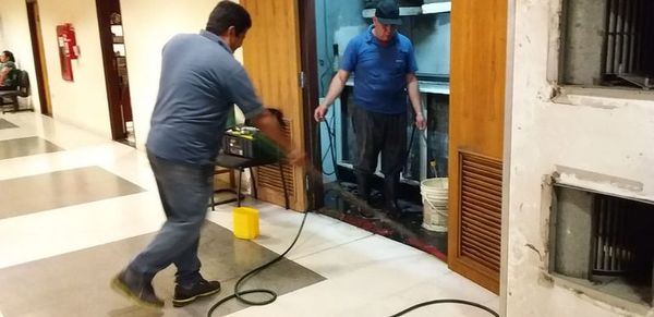 Trabajan para eliminar insectos en el Congreso - Nacionales - ABC Color