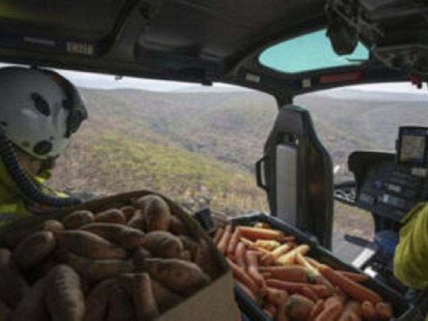 Lanzan zanahorias y batatas desde el cielo