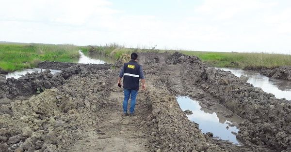 El MADES detecta desvío de arroyos a plantaciones de arroz en Misiones