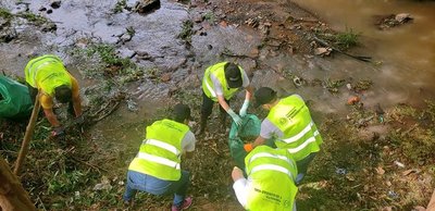 Municipalidad de Asunción lanza campaña 'Con El Dengue Perdemos Todos'