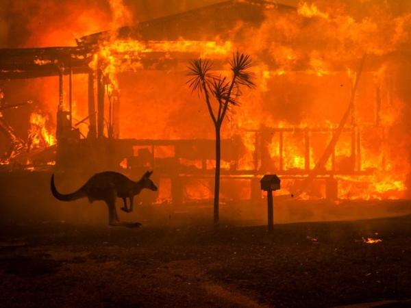 Federación Internacional dona 400.000 dólares para ayudar por los incendios » Ñanduti