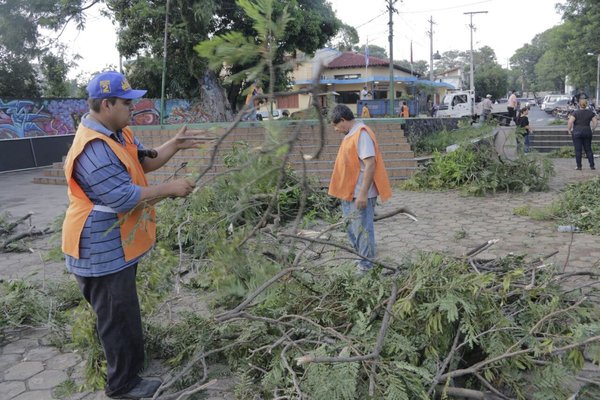 Intendente de Ñemby iniciará campaña para que sean imputados dueños de los terrenos baldíos » Ñanduti