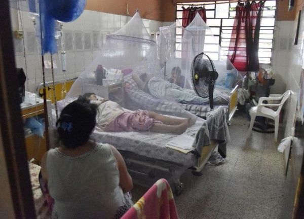 Gobernación de Central declara emergencia por dengue - Nacionales - ABC Color