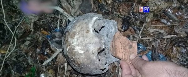 Hallan cráneo mientras realizaban minga ambiental | Noticias Paraguay