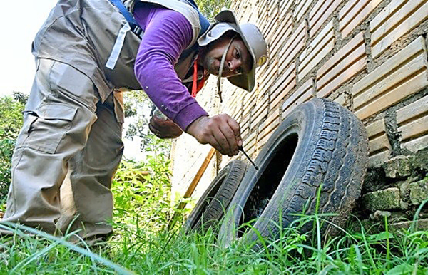 Lucha contra criaderos de mosquitos es tomada como causa nacional en el departamento Central