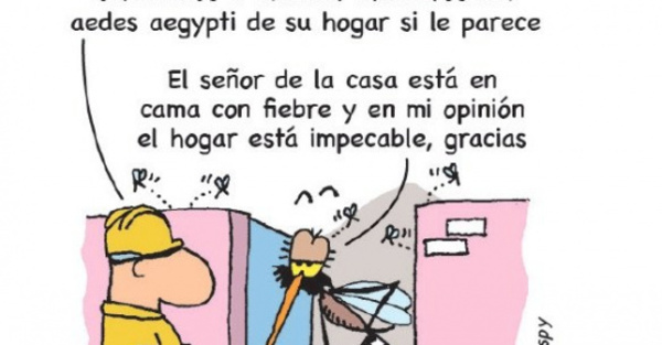YOR – Voluntario