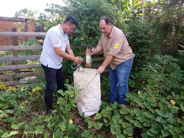 Lambaré realizará minga ambiental con ayuda de Asunción