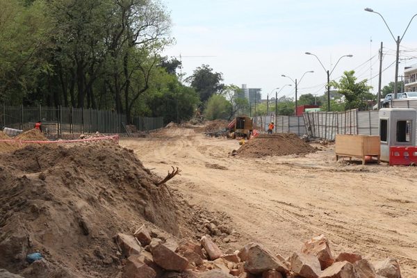 Avanzan las obras del Viaducto Botánico