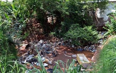 Dengue: intendentes dicen que no pueden limpiar ni procesar toda la basura de sus ciudades - Nacionales - ABC Color
