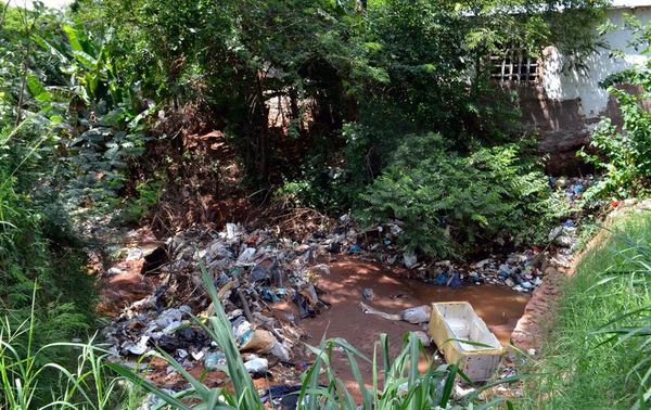 Dengue: intendentes dicen que no pueden limpiar ni procesar toda la basura de sus ciudades - Nacionales - ABC Color