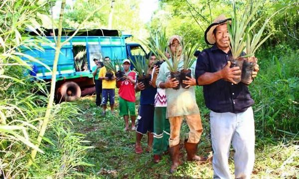 Impulsarán proyectos productivos con familias indígenas - ADN Paraguayo