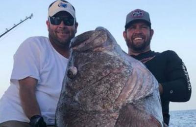 El increíble hallazgo de un pez gigante de 160 kilos que impacta al mundo - SNT