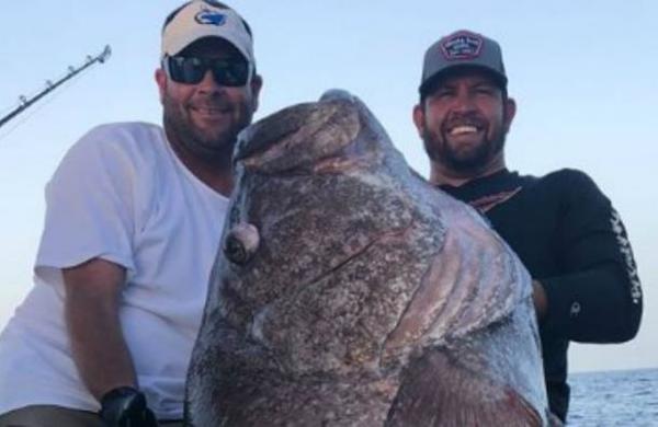 El increíble hallazgo de un pez gigante de 160 kilos que impacta al mundo - SNT