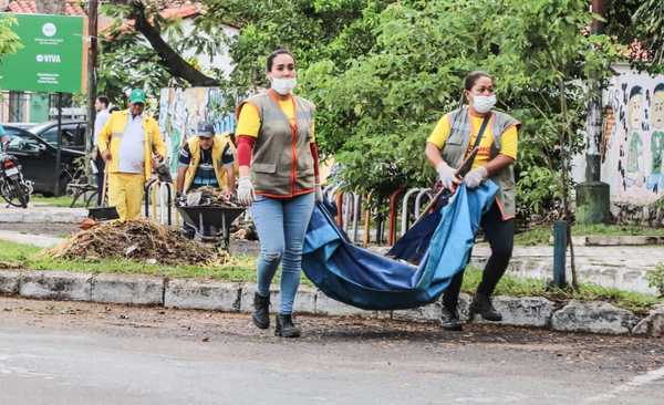 Buscan concienciar a la ciudadanía sobre la importancia de eliminar los criaderos de mosquitos  | .::Agencia IP::.