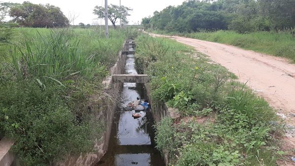 Reportan más de 300 casos sospechosos de dengue en San Pedro