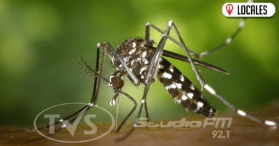 Buscan reducir infestación larvaria en el departamento de Itapúa