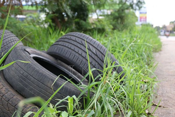 SEN y Senepa realizarán mingas en ciudades de alto riesgos de Central