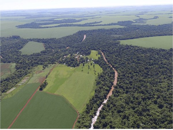 Reglamentan sistema de monitoreo para áreas de cobertura forestal