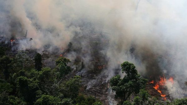 Deforestación en la Amazonía brasileña en 2019 fue 85 % mayor que en 2018 » Ñanduti