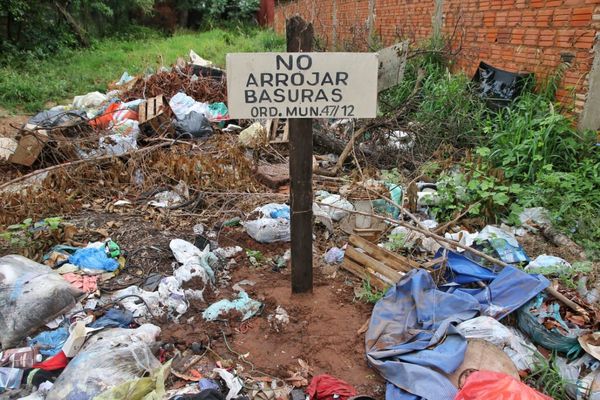 Eliminar criaderos, principal forma de prevenir el dengue