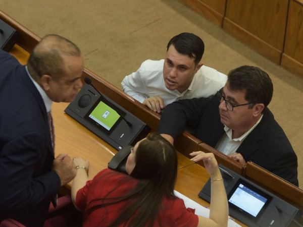 Los diputados patean para febrero financiamiento y declaración jurada