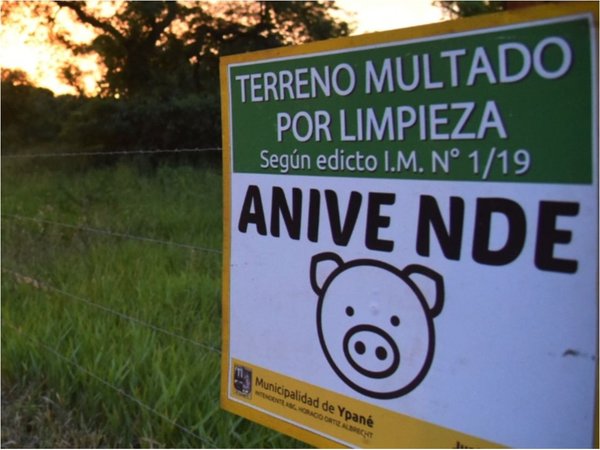 Municipios deben hacer denuncia formal para que Fiscalía intervenga
