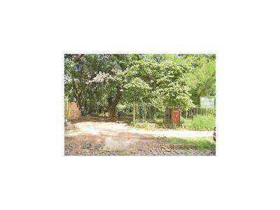 Obra usa como depósito Plaza Ecológica