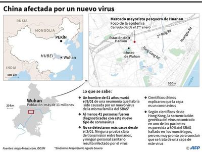 OMS alerta a la red mundial de los hospitales sobre nuevo virus mortal - Internacionales - ABC Color