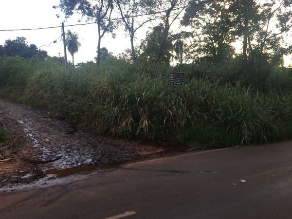 Propietarios tienen 24 horas para limpiar sus terrenos baldíos