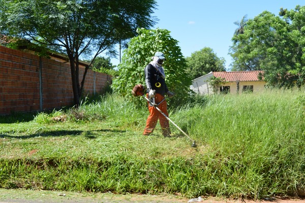 CDE: Municipalidad da un plazo de 24 horas para limpiar terrenos baldíos