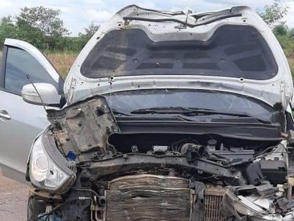 Intendente de San Salvador sufrió accidente a causa de vaca suelta